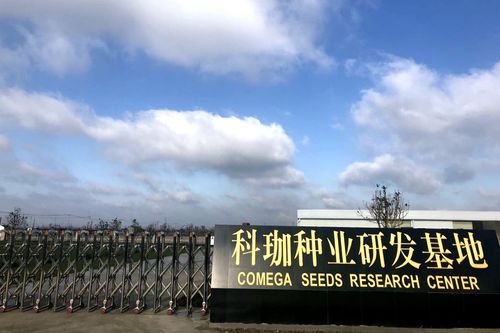 高原屏障下的零感染坚守：西华县防疫地理优势解析_38052