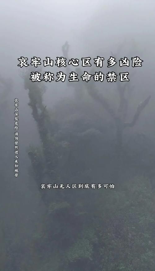 苍山屏障下的零感染坚守：高原地理优势如何构筑防疫壁垒_68039