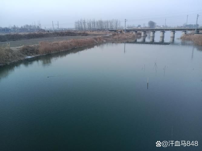 高淳县：圩田水网间的疫情静默与地理屏障