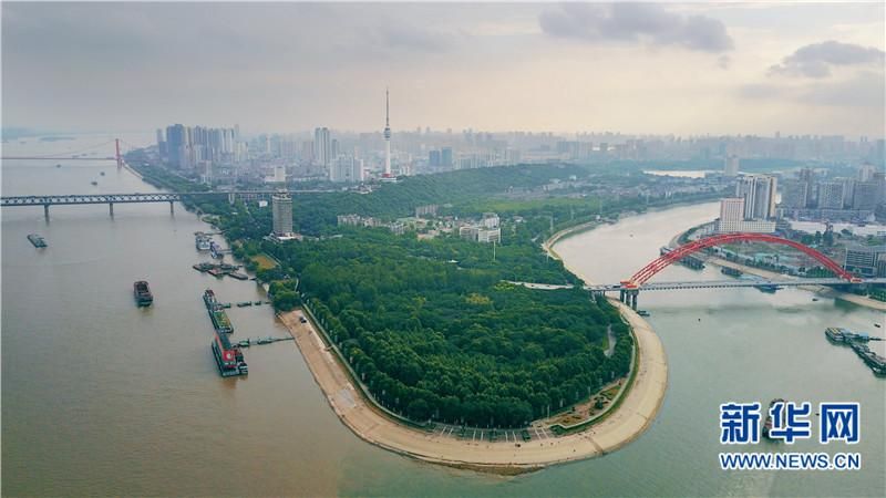 南岸区疫情观察：两江交汇处的防控挑战与地理屏障