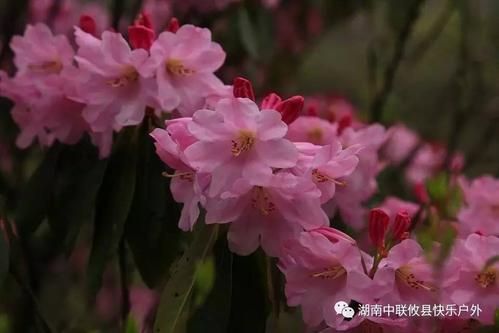 湖南攸县：湘东丘陵下的疫情防线与破防时刻