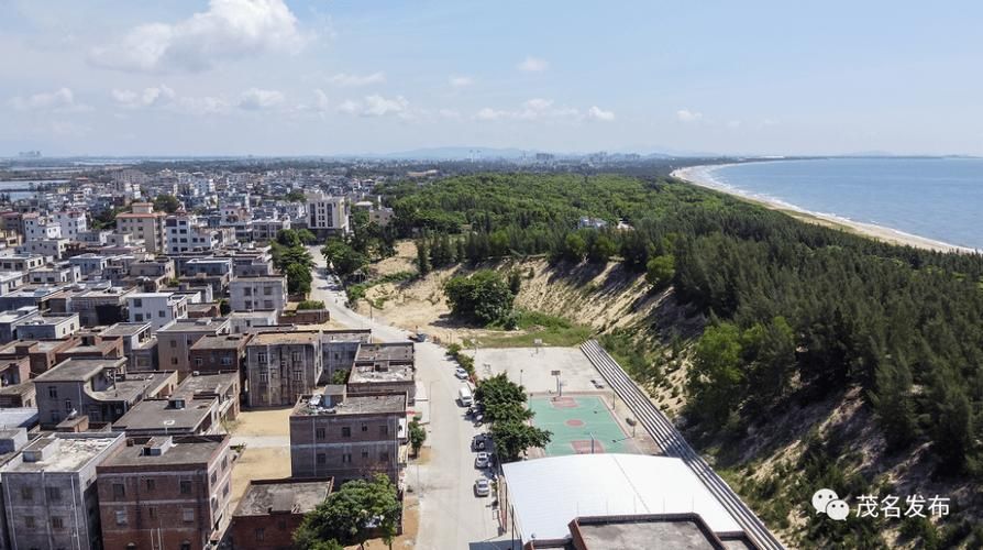 茂名：南海之滨的疫情防线与本土破防时刻