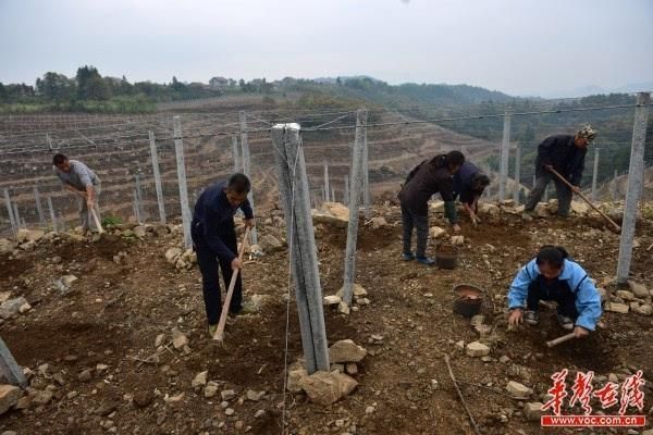 麻阳苗族自治县：武陵山腹地的防疫坚守与挑战