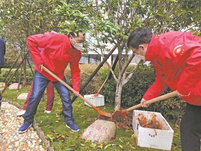 沿海屏障下的防疫突围：射阳县如何守住零感染阵地？