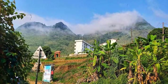 大化：红水河畔的防疫坚守与地理屏障下的挑战