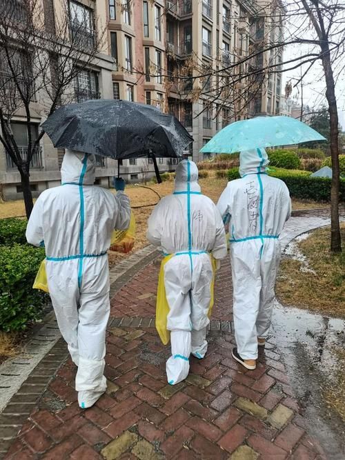 阜平:太行山坳的静默防线与偶发疫情解析