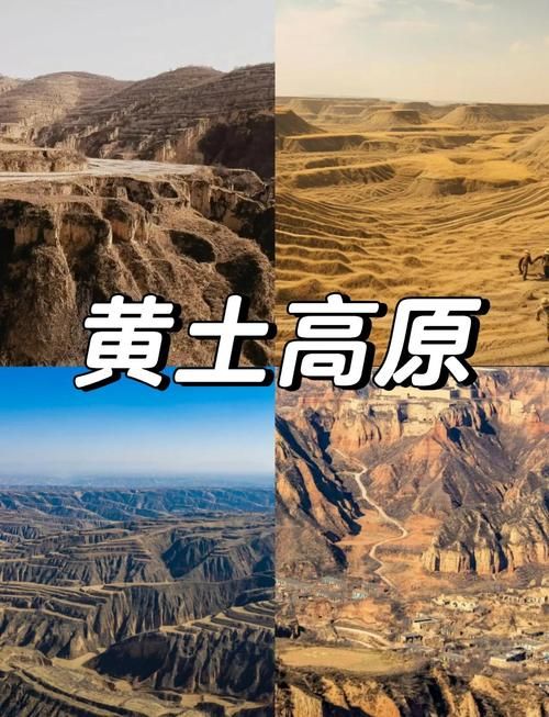 浑源:黄土高原沟壑间的防疫屏障与破防时刻