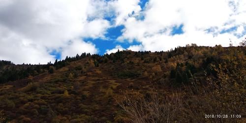 黑水河谷的防疫屏障：高海拔地理如何阻断病毒传播链？_54468
