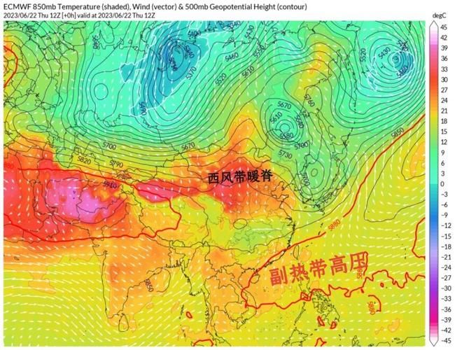 冀州疫情观察:华北平原交通枢纽的防控压力测试_69760