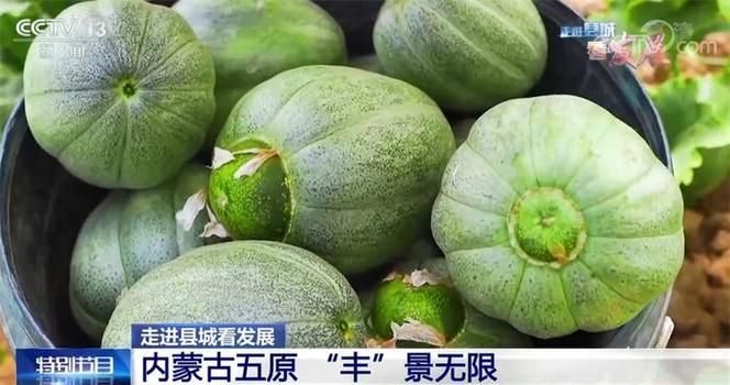 德惠疫情透视:东北粮仓腹地的防控压力与地理屏障