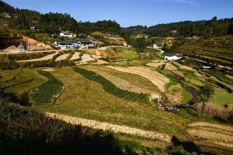 琼山防疫观察：热带季风气候下的城中村防控挑战_43195