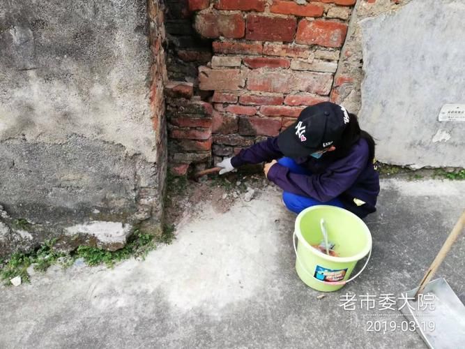 【驻马店市市辖区新增1例无症状感染者  驻马店市市辖区疫情防控最新通报_73028】