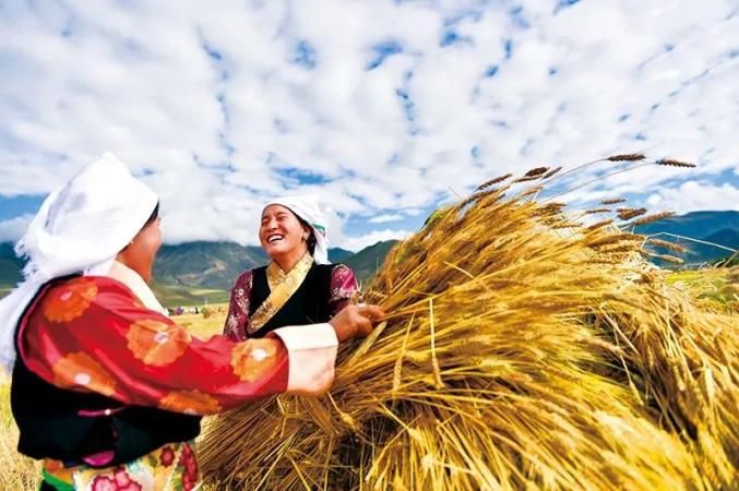 渠江屏障下的防疫破口：川东枢纽的疫情压力测试_45182