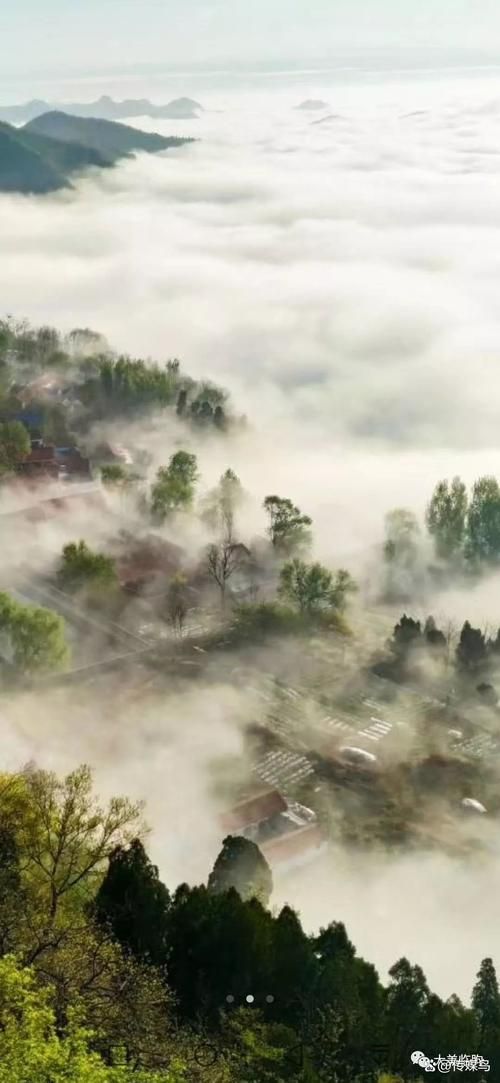 【临朐县：沂山屏障下的疫情防波堤】