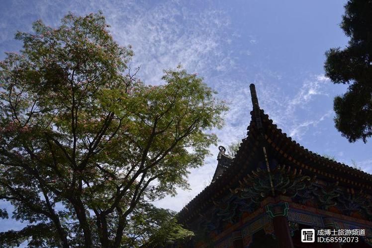 富县：黄土高原腹地的零感染坚守与破防时刻