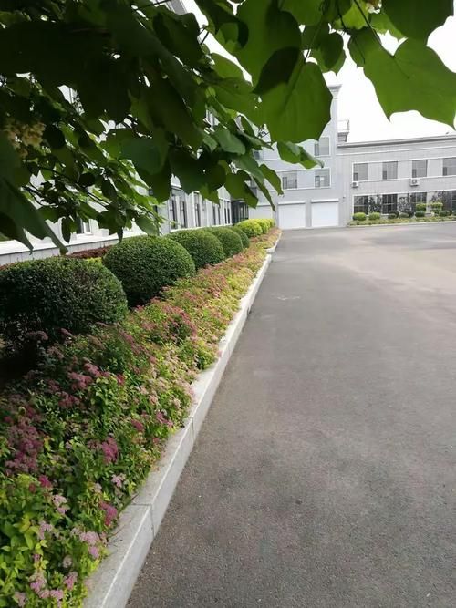 梨树县：松辽平原腹地的疫情防线与破防时刻_25536