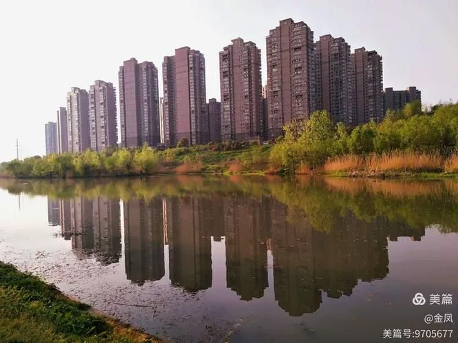 南长古运河畔的隐匿传播：专家组解析社区防控薄弱环节