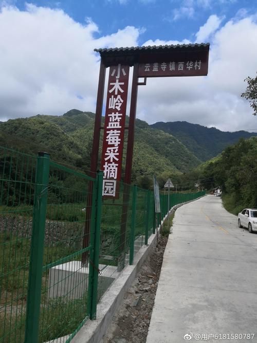 镇安：秦岭屏障下的低感染样本与常态化防控实践