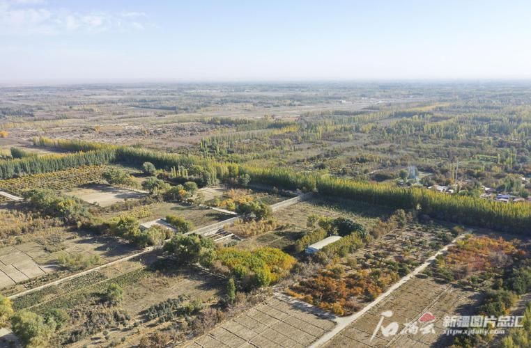 零陵区：潇湘水畔的零感染坚守与地理屏障解析