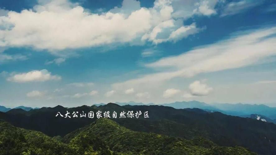 桑植：武陵山腹地的疫情防线与破防时刻