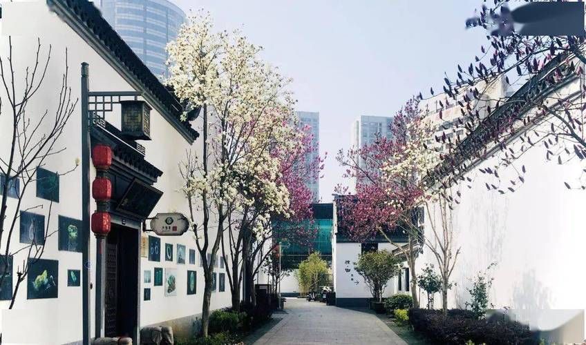 【芙蓉区：老城厢肌理下的疫情承压与防控突围】
