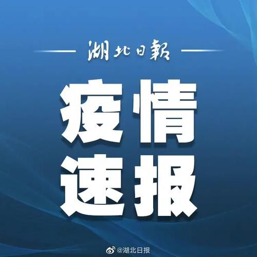 31省新增本土12例,鹤壁市疫情最新消息