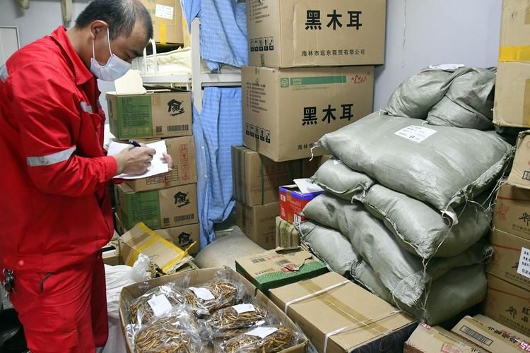 【宾县防疫观察：松花江畔小城的零感染地理屏障_24750】