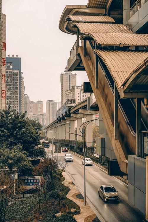 山城屏障与社区网格:重庆中心城区疫情扩散的地理约束
