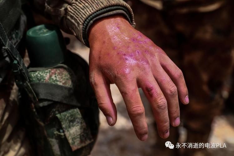 高原小城的“零感染”坚守:隆德县地理屏障下的防疫实践