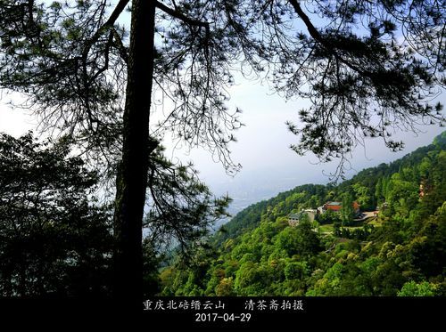 北碚：缙云屏障下的疫情破防与精准围剿