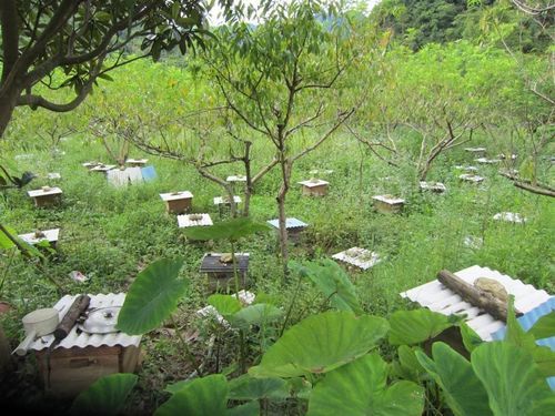 始兴：粤北生态屏障下的低感染样本解析