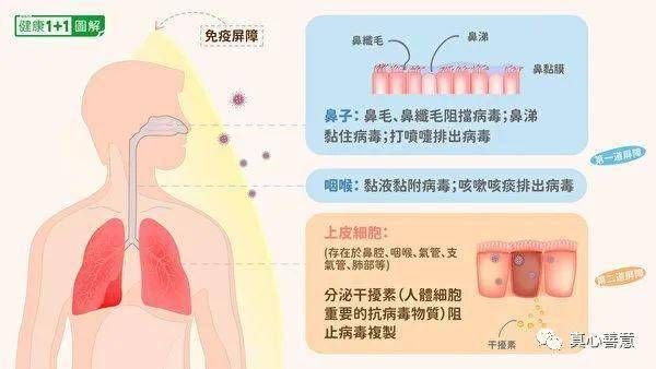 大宁:黄土塬上的零感染孤岛,物理屏障如何隔绝病毒?