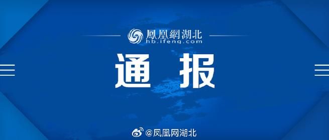 本地确诊+2，咸宁通报新增病例情况