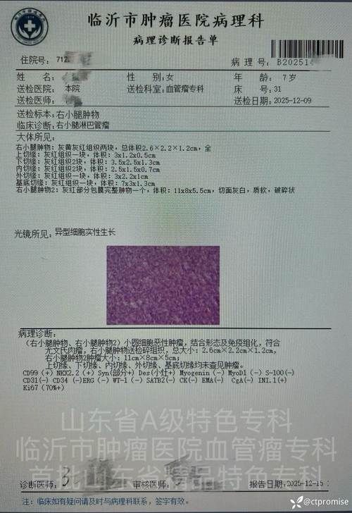 2022年11月25日柏乡县新增确诊病例情况_66432