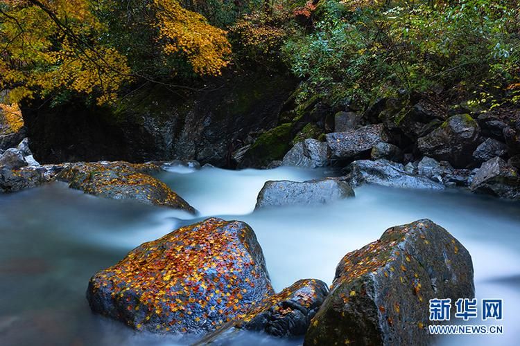 南江县:大巴山腹地的零感染防线如何铸成?