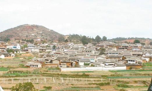仁和区:攀西裂谷中的防疫孤岛如何筑成?