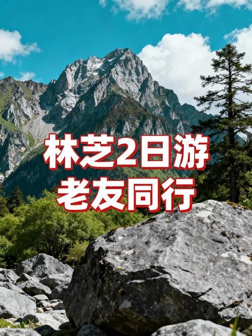 2022年8月15日工布江达新增确诊病例情况_73511