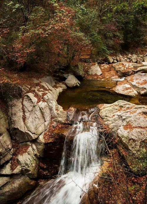 【南江县:大巴山腹地的零感染坚守与物理防线_74917】