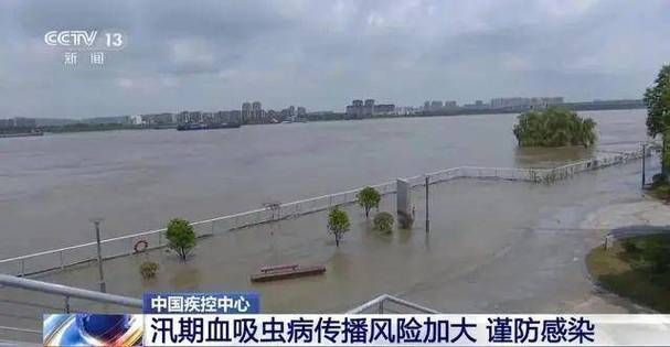 赣南门户的防疫挑战：章贡区城中村结构下的传播风险