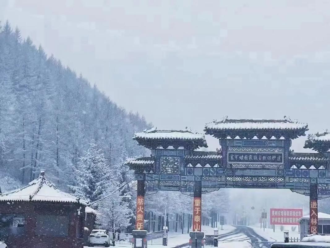 【围场:坝上草原地理屏障下的零感染坚守】
