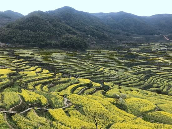 上虞：杭州湾南岸的防疫破口与地理围堵_78648