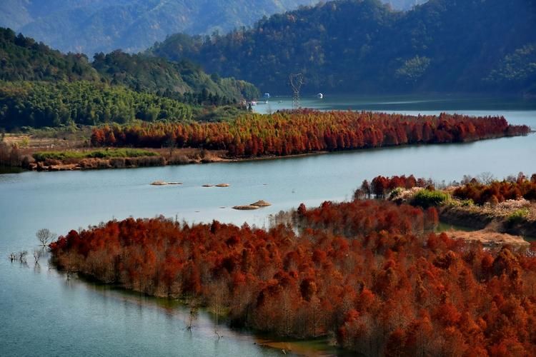 宣城：皖南山地屏障下的疫情防御样本_38481