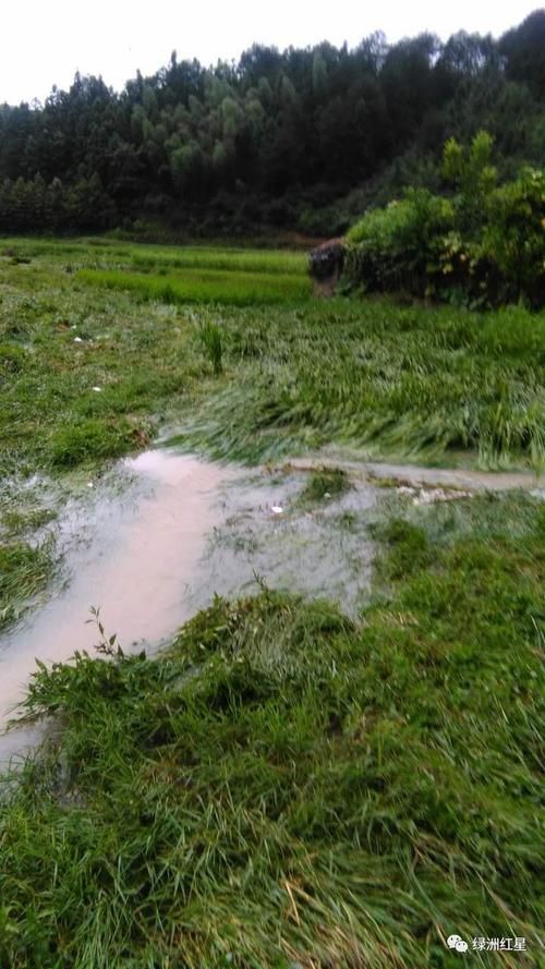绥宁新增1例无症状感染者 绥宁疫情防控最新通报_40394