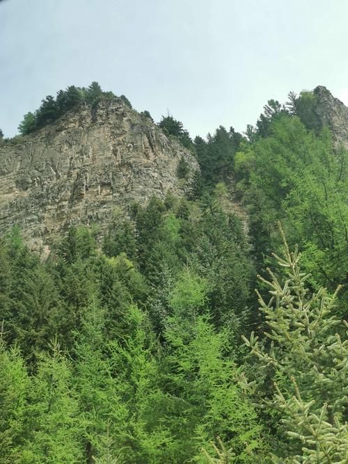 古交市:吕梁山腹地的低感染率样本解析_55759