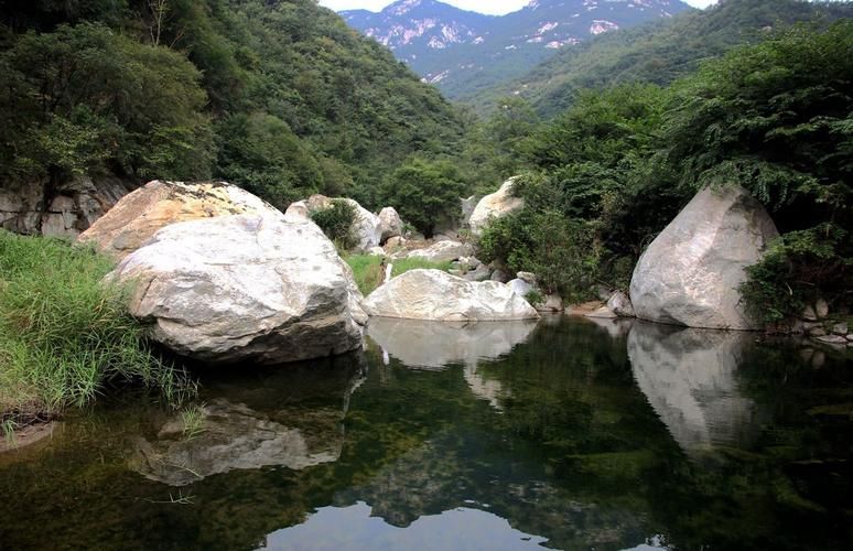 内乡县:伏牛山屏障下的低感染率样本_62784