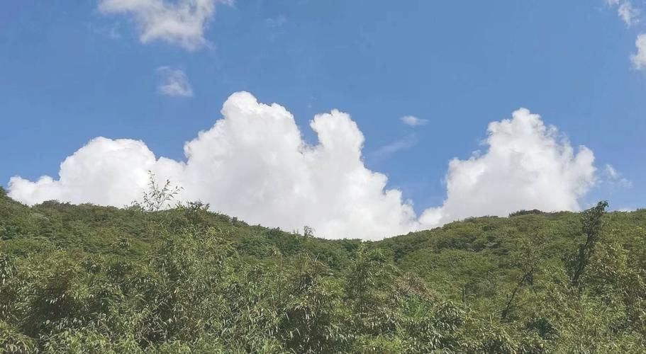 【南川金佛山屏障下的防疫破口:一例输入性病例的流调溯源】