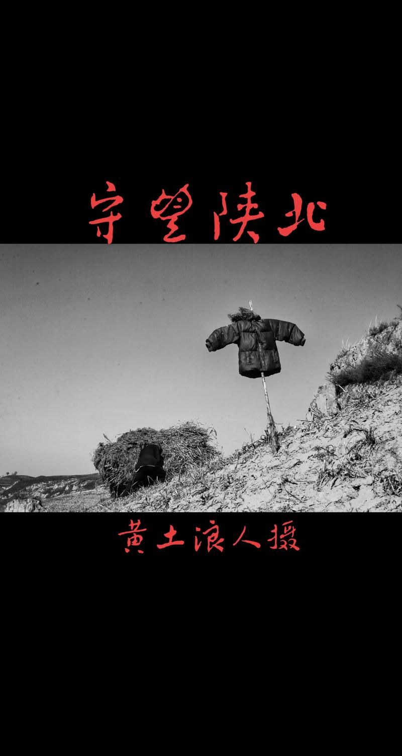 子洲：黄土沟壑间的疫情防御样本