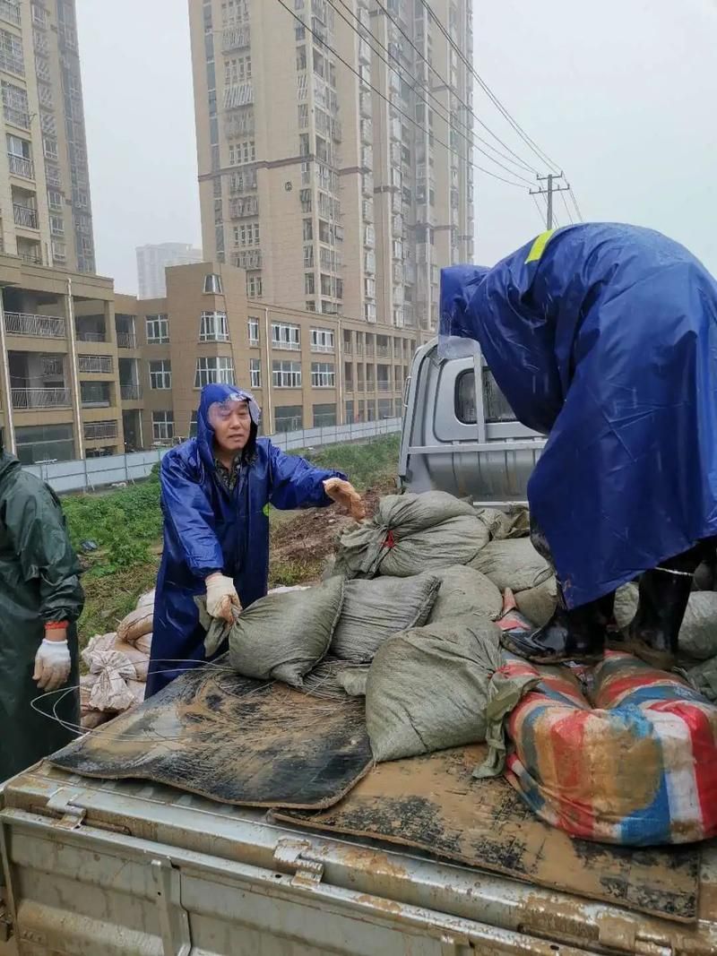 【凤台县：淮河岸边的防疫样本与地理屏障下的挑战】