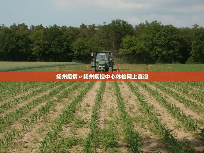 31省新增本土12例(31省新增本土8例),禹会区疫情引关注
