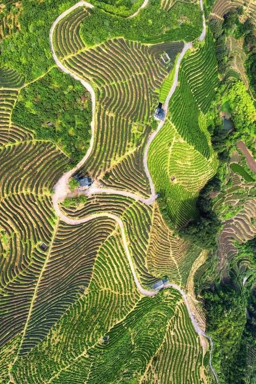 中江疫情观察:丘陵地貌下的防控挑战与应对_67482